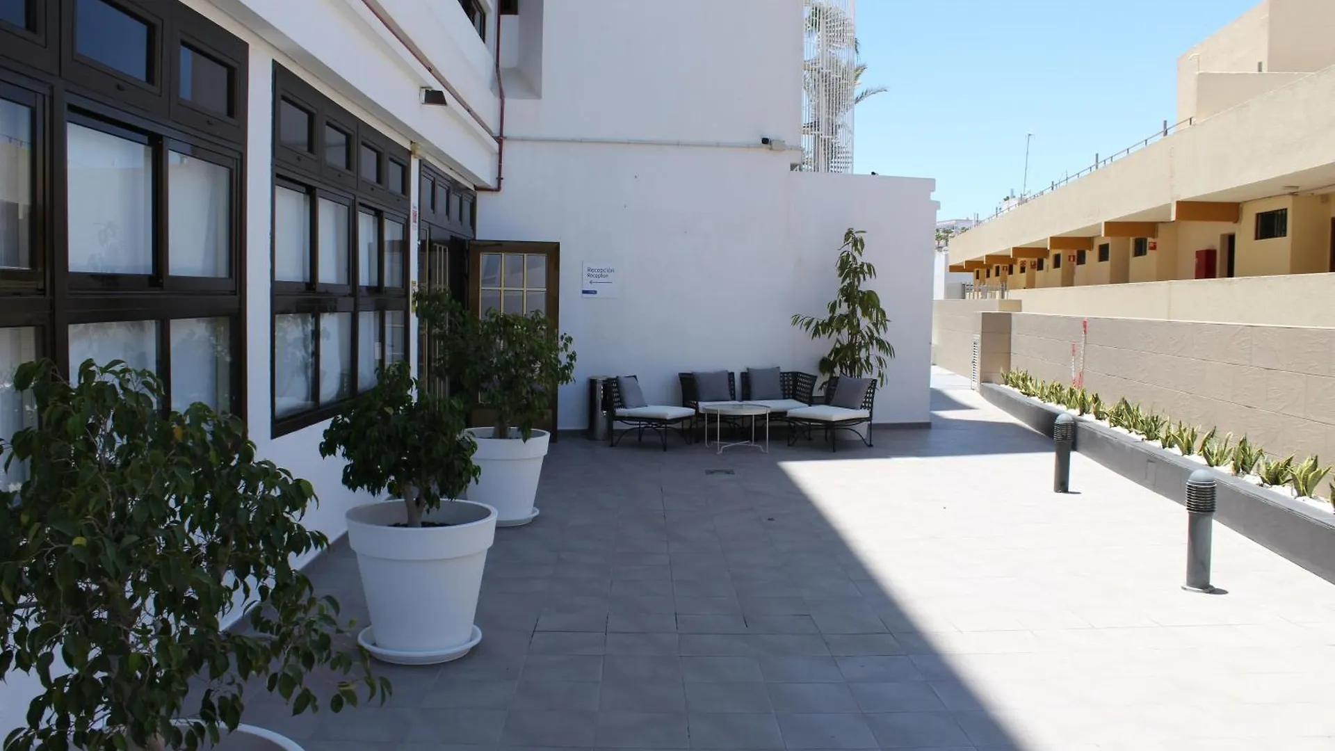 Apartamentos Fayna Playa del Ingles  Playa del Ingles (Gran Canaria)